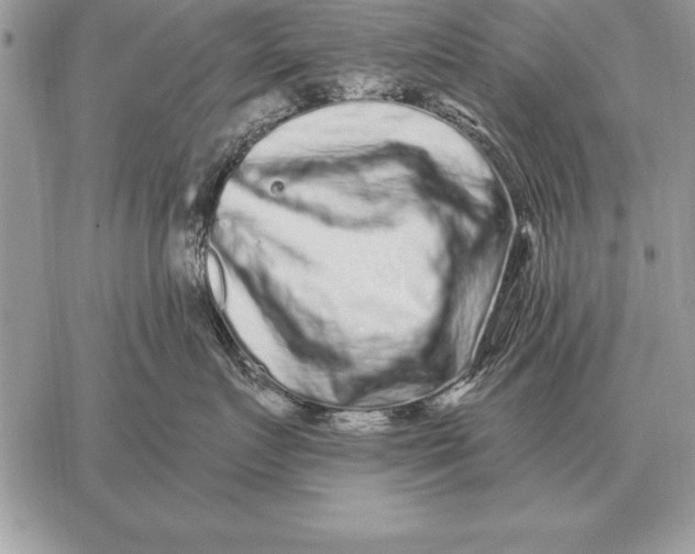 X0000059100719200510281814