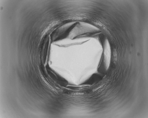 X0000059100734200510281813