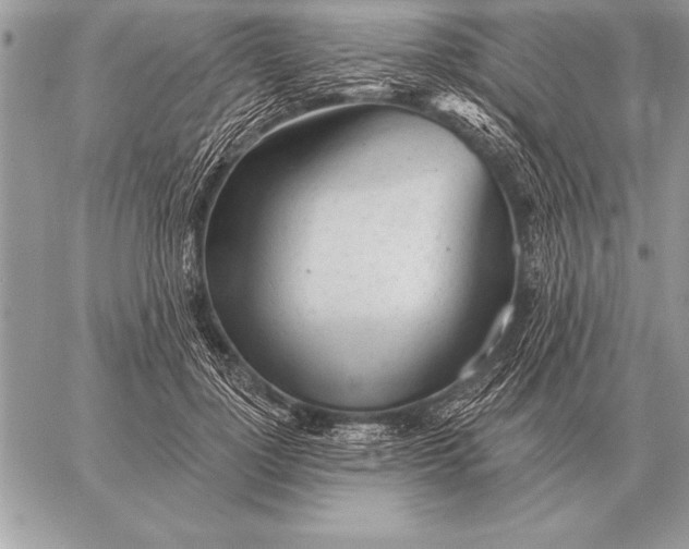 X0000059100748200510281814