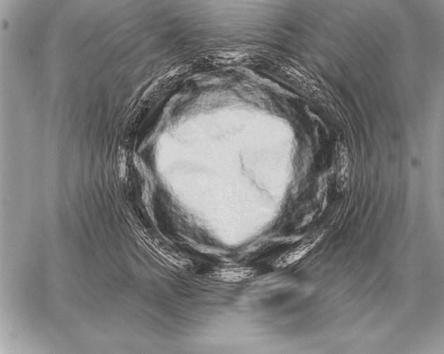 X0000059100758200510281814