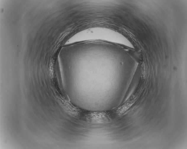 X0000059100762200510281814