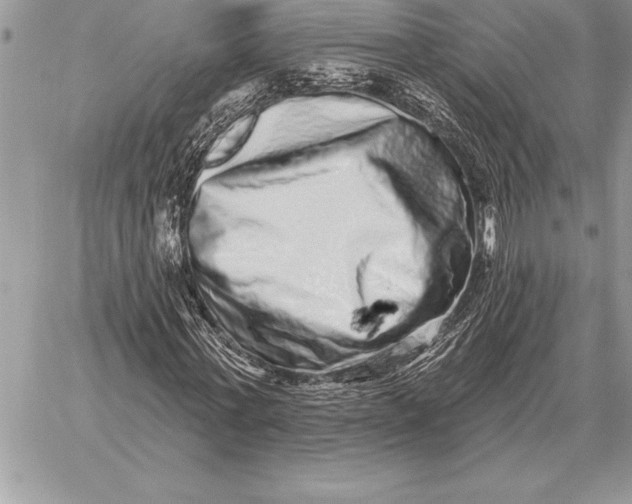 X0000059100771200510281813