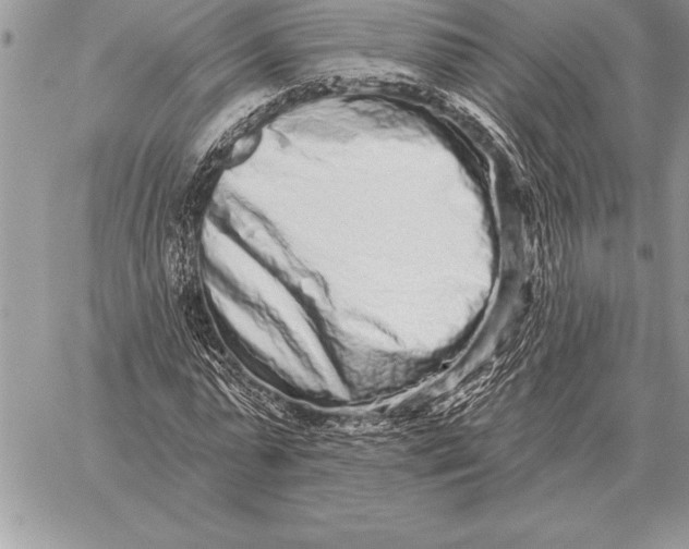 X0000059100775200510281813