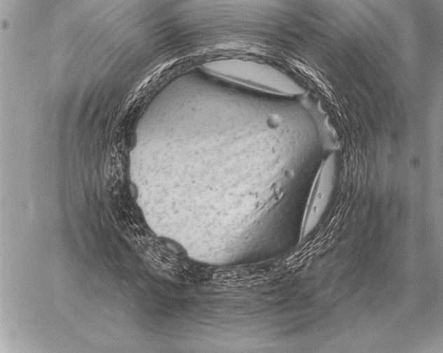 X0000059100776200510281813