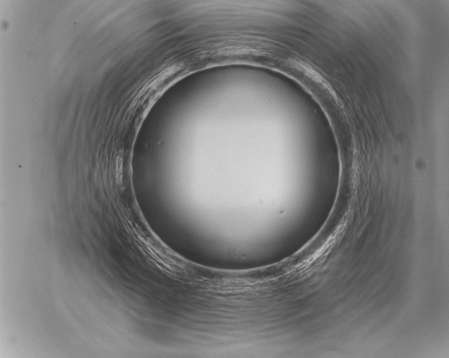 X0000059100777200510281813