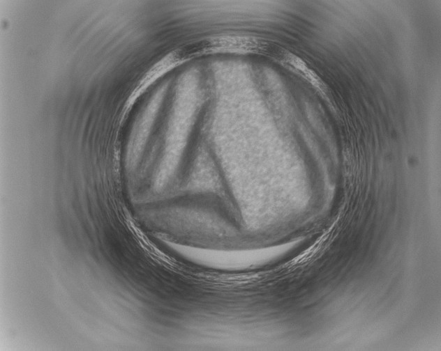 X0000059100779200510281813