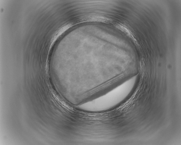 X0000059100780200510281813