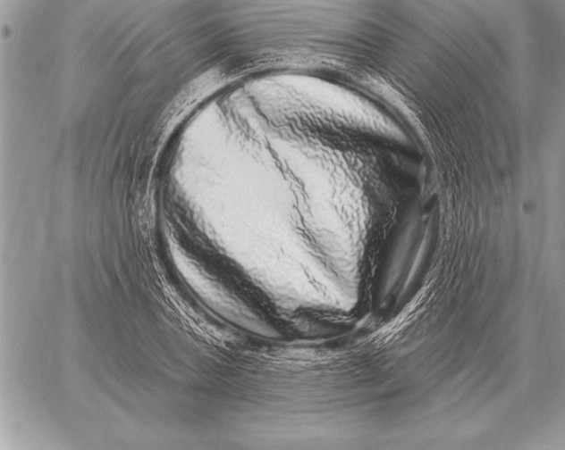 X0000059100787200510281813
