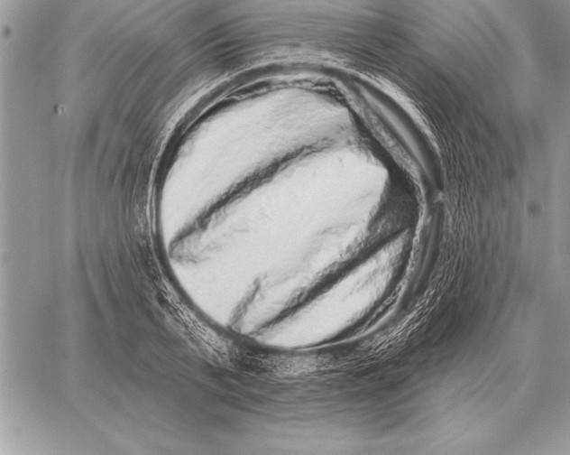 X0000059100791200510281813