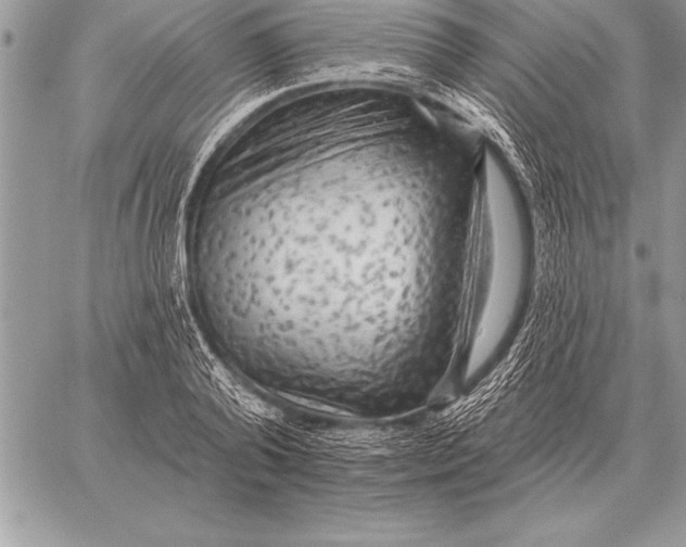 X0000059100792200510281813