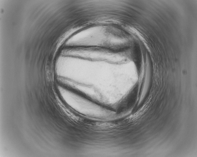 X0000059100795200510281813