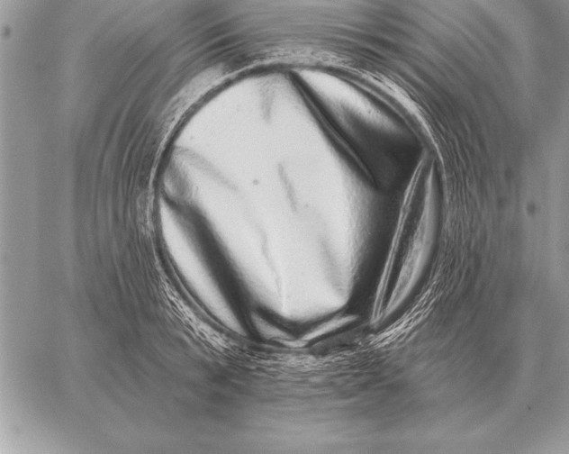 X0000059100799200510281813