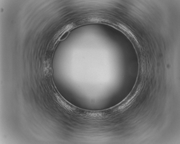 X0000059100801200510281813