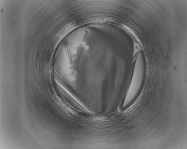 X0000059100802200510281813