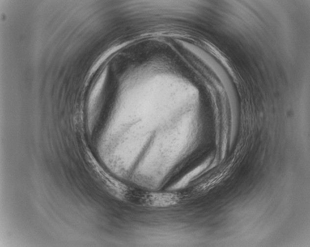 X0000059100803200510281813