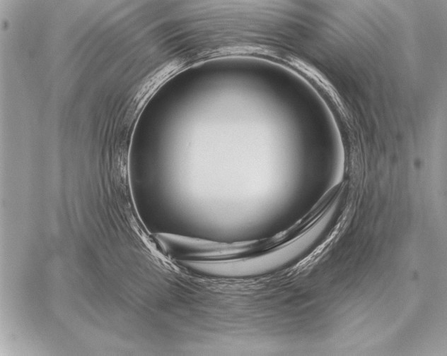 X0000059100809200510281812
