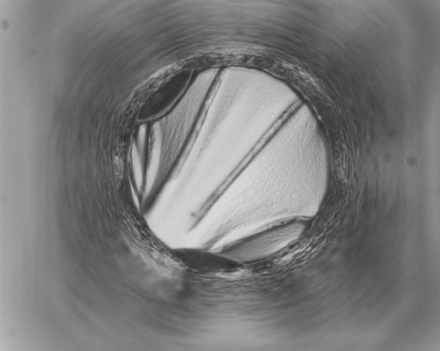 X0000059100821200510281812