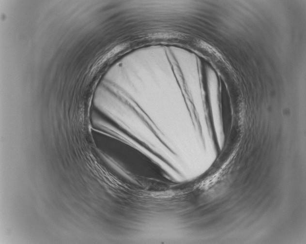 X0000059100825200510281812
