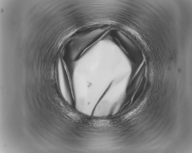 X0000059100833200510281812