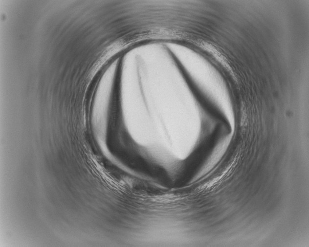 X0000059100837200510281812