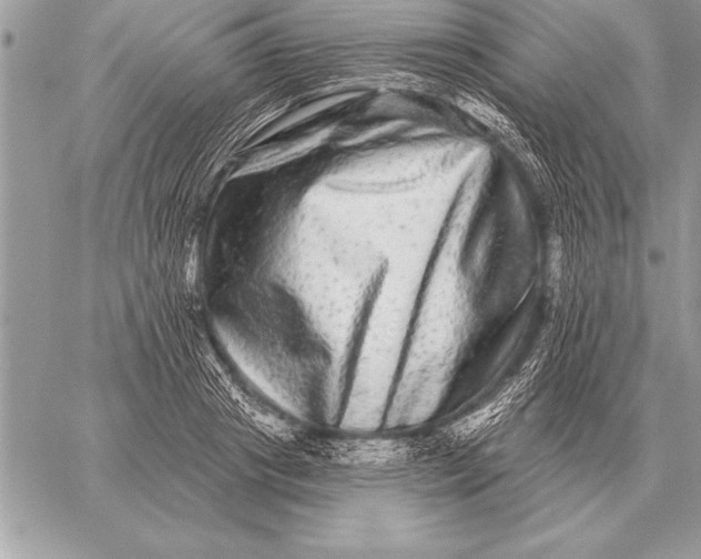 X0000059100841200510281812