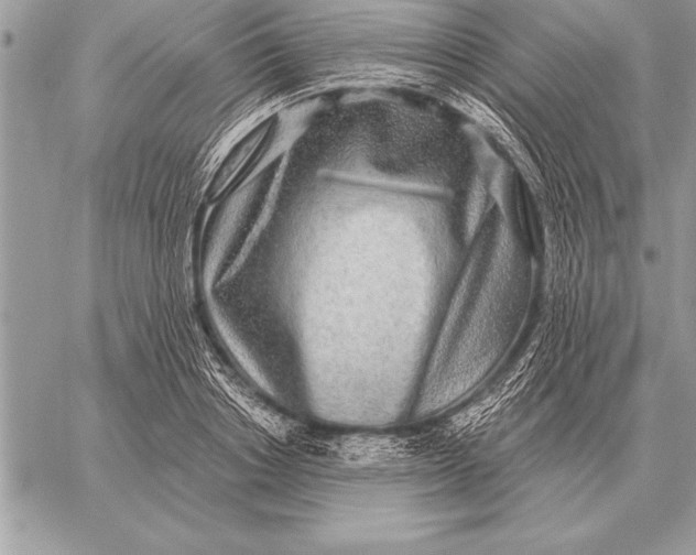 X0000059100842200510281812