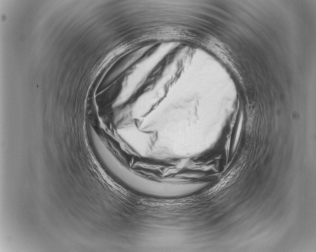 X0000059100845200510281812