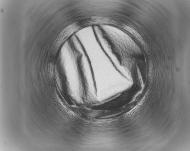 X0000059100849200510281812