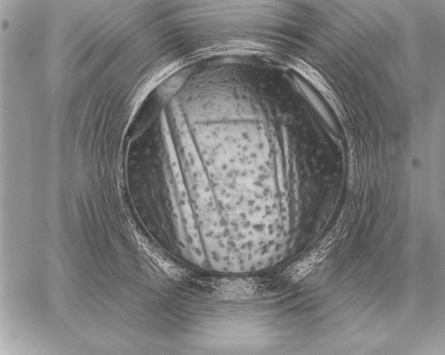 X0000059100850200510281812