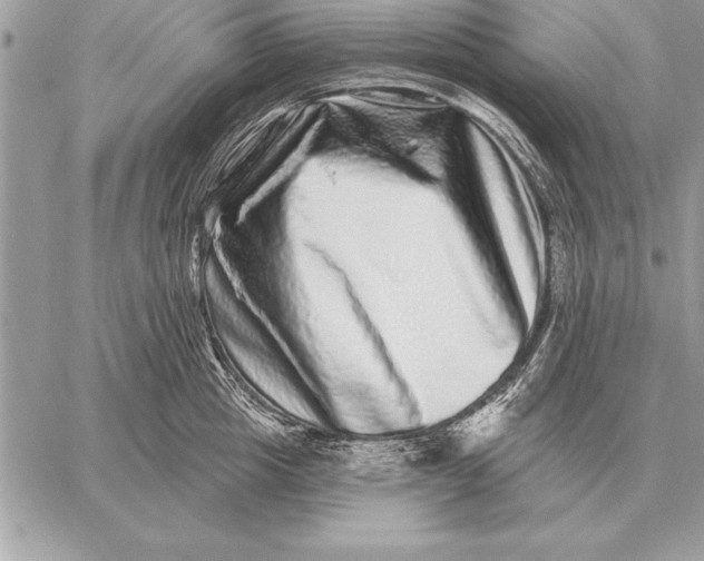 X0000059100857200510281812