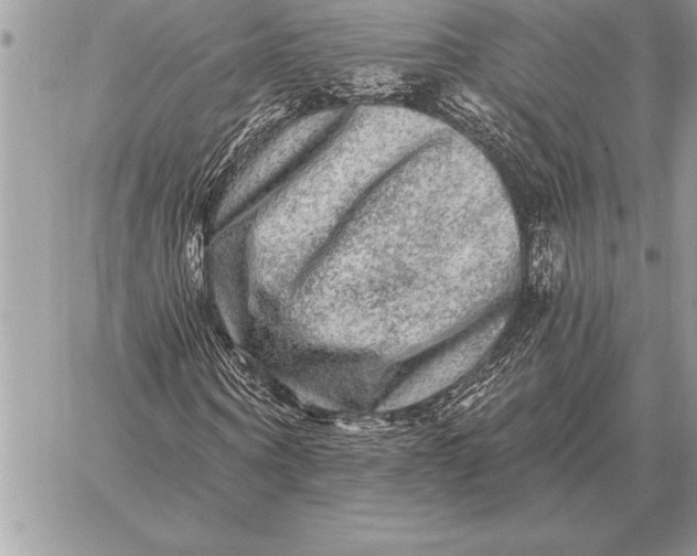 X0000059100866200510281811