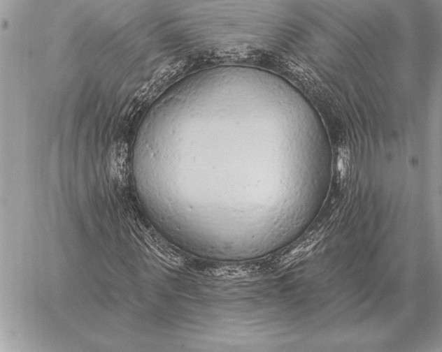 X0000059100867200510281811