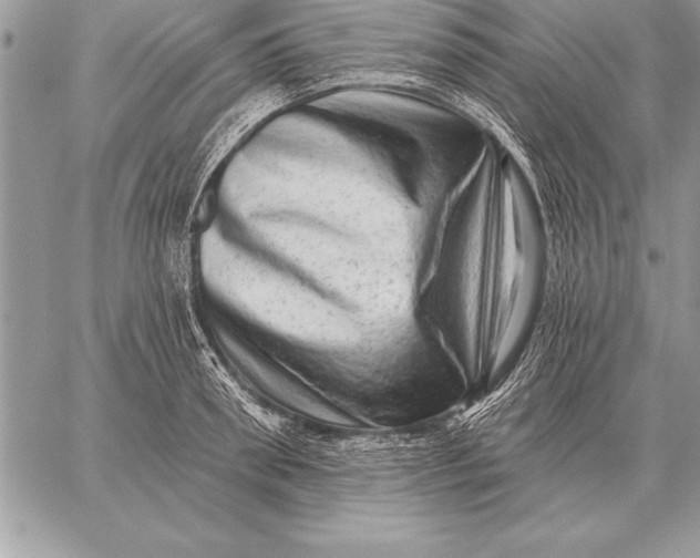 X0000059100898200510281811