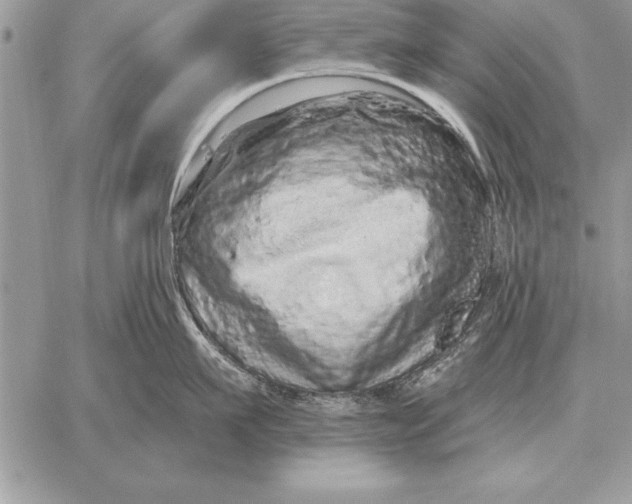 X0000059100911200510281811