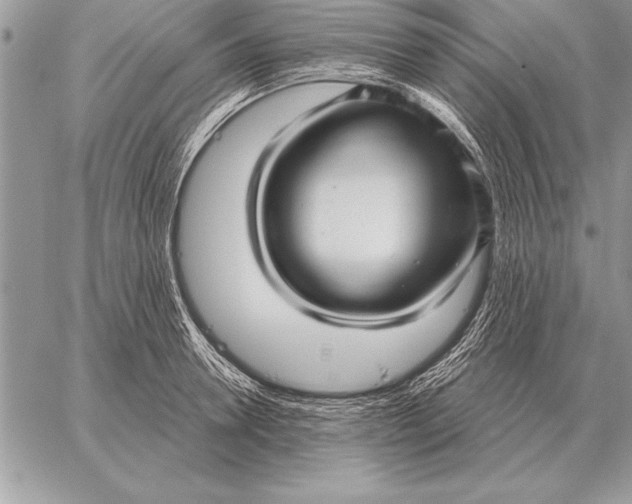 X0000059100946200510281810