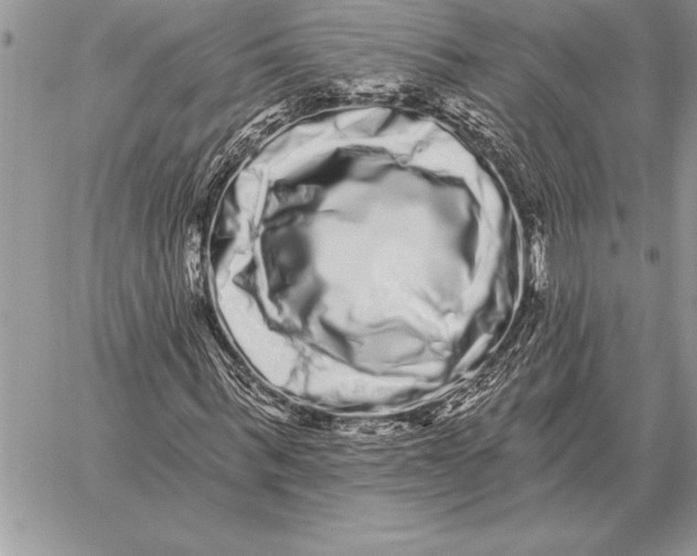 X0000059100963200510281810