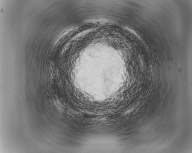 X0000059100967200510281810