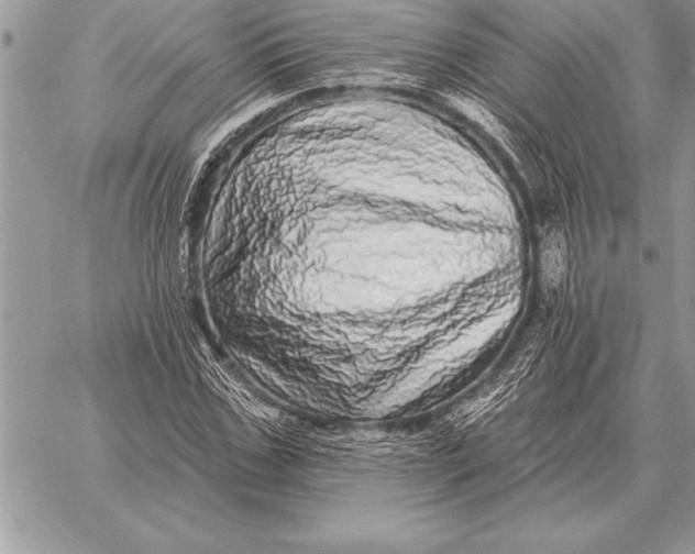 X0000059100971200510281810