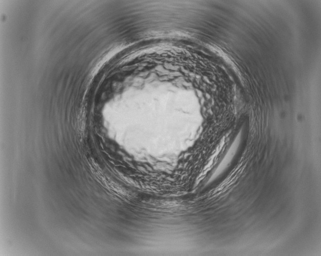 X0000059100975200510281810
