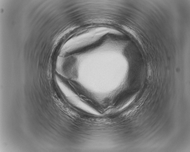 X0000059100979200510281810