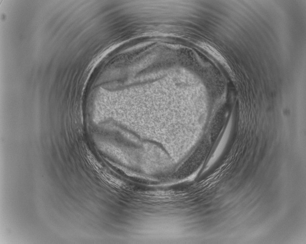 X0000059100980200510281810
