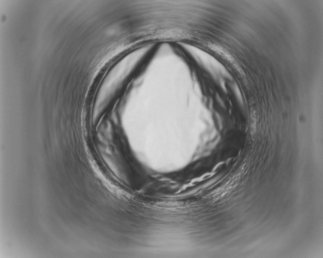 X0000059100991200510281809
