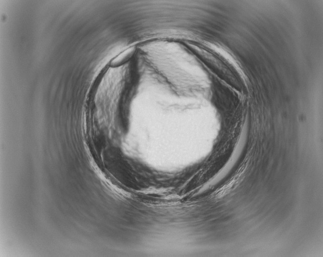 X0000059100999200510281809