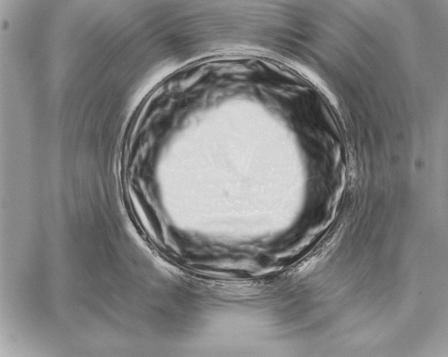 X0000059101007200510281809