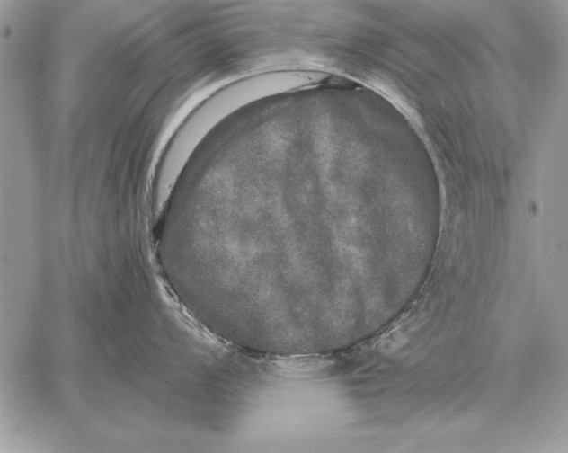 X0000059101008200510281809