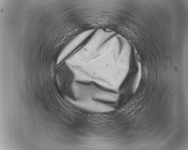 X0000059101012200510281808