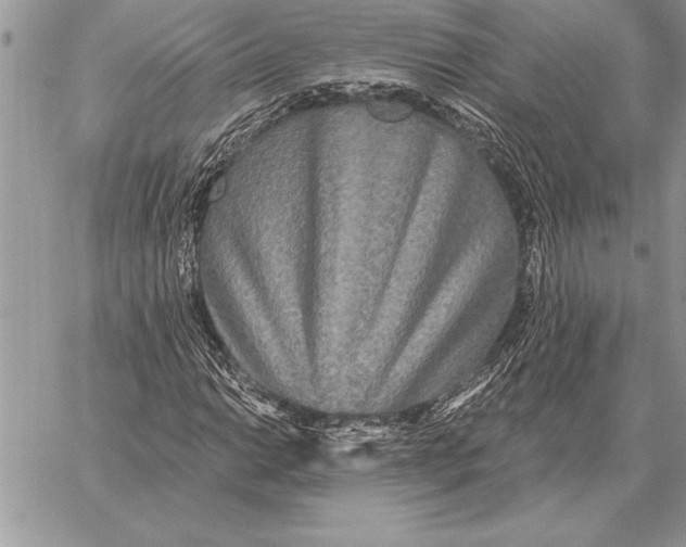 X0000059101014200510281808