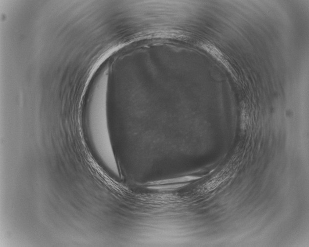 X0000059101024200510281809