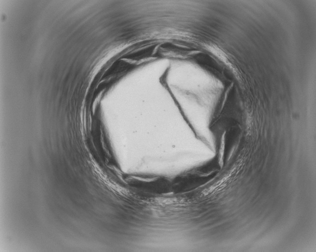 X0000059101032200510281809
