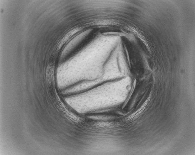 X0000059101033200510281809